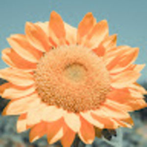 Meet your Posher, Kaitlyn